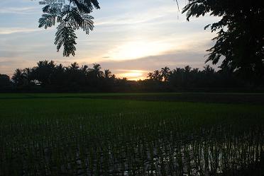 Home Page Image